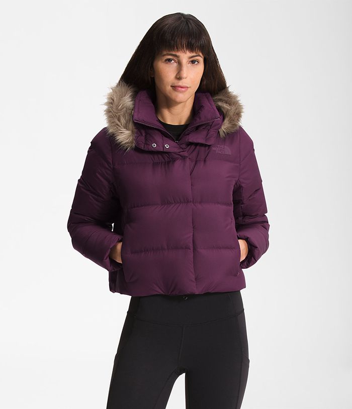 The North Face Winterjas Dames New Dealio Korte XFIV86359 - Paars